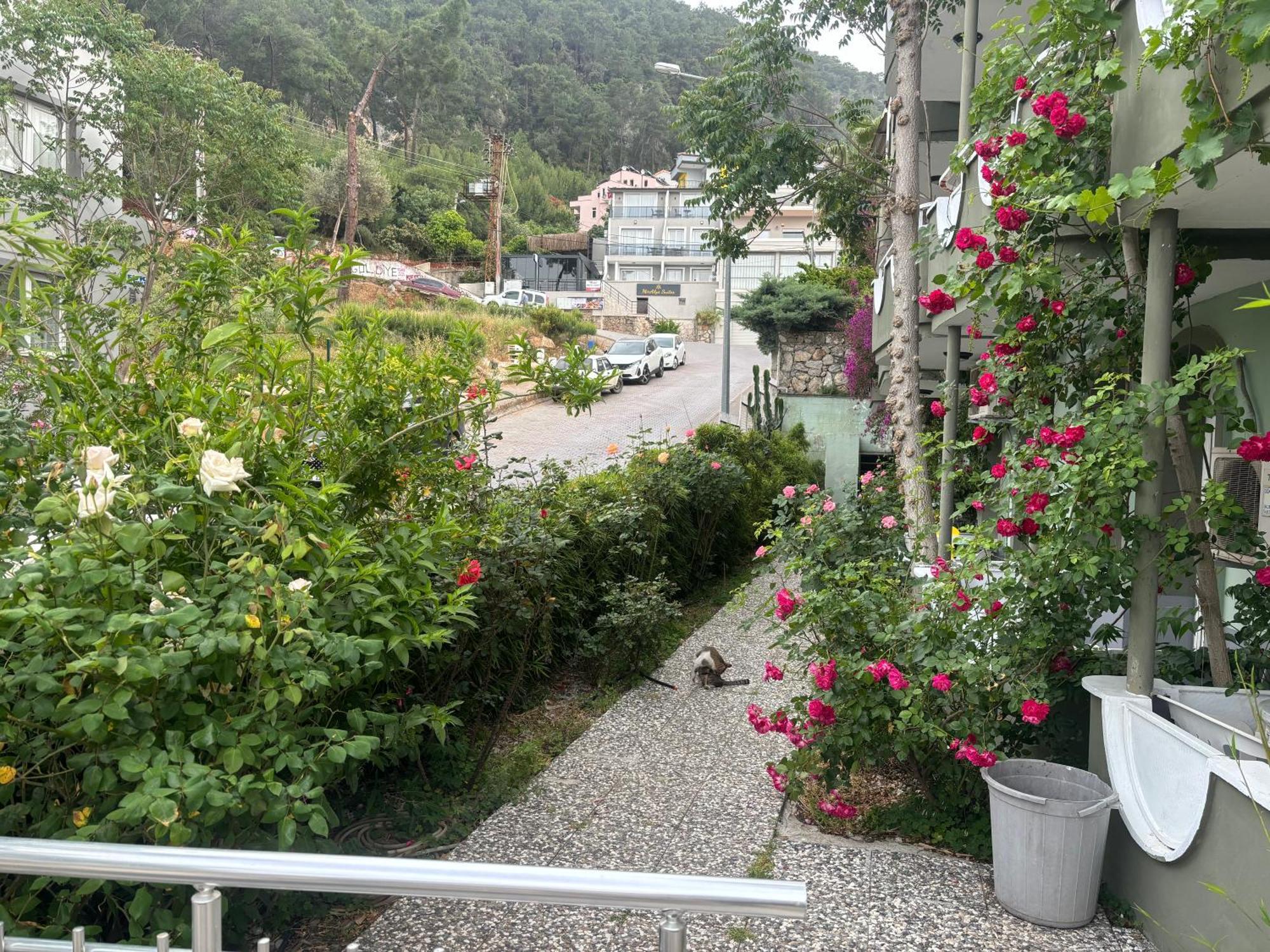 Ideal Pension Fethiye Exteriör bild